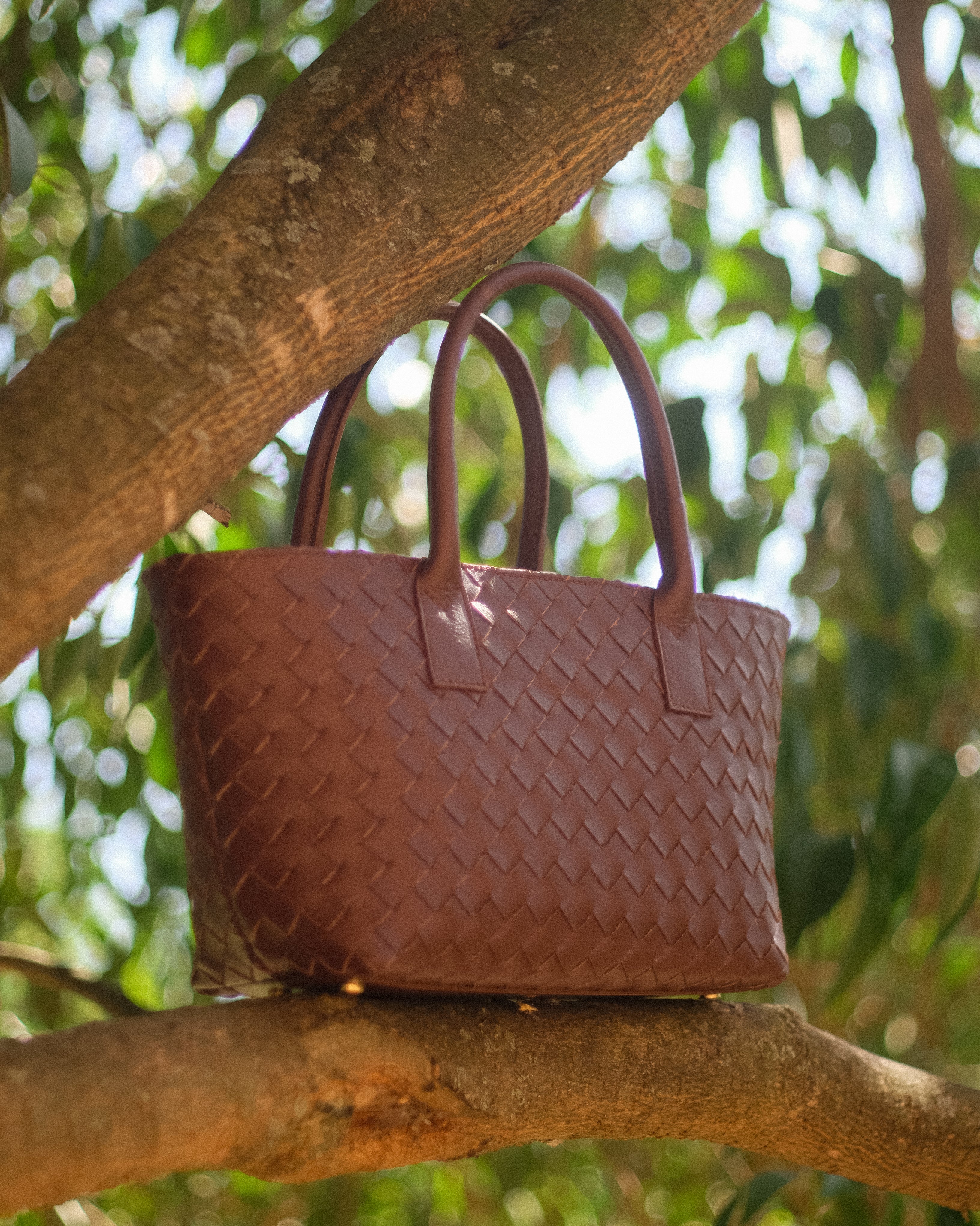 Discover the new Collection of Sara by JG